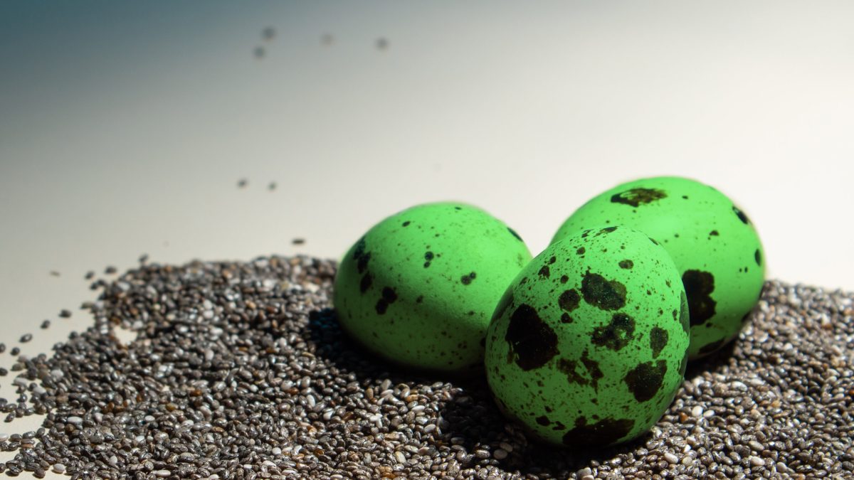 Sea Monster Eggs and Leadership
