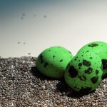 Sea Monster Eggs and Leadership