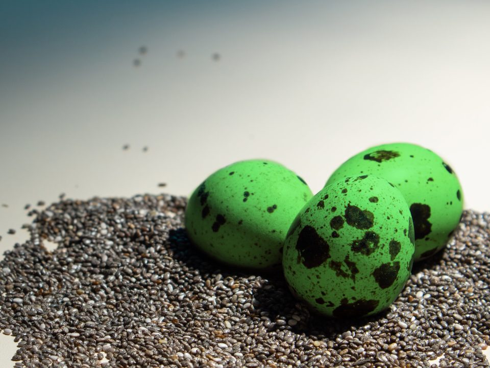 Sea Monster Eggs and Leadership