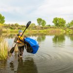 Two types of Rafts